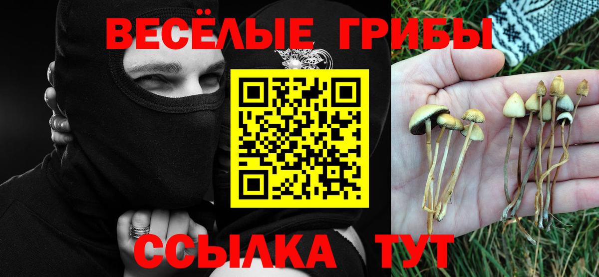 Псилоцибиновые грибы мицелий Кондопога