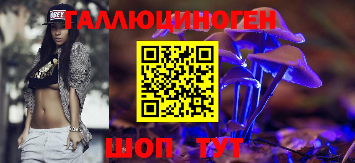 Кондопога  Галлюциногенные грибы мухоморы  Вход с VPN  Галлюциногенные грибы Psilocybine cubensis 